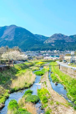 Japonya'da Yufuin bahar toplayan 