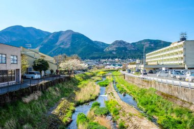 Japonya'da Yufuin bahar toplayan 