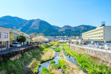 Japonya'da Yufuin bahar toplayan 