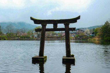 Japonya'da Yufuin bahar toplayan 