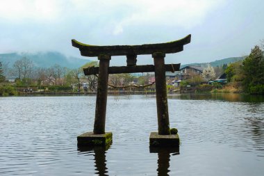 Japonya'da Yufuin bahar toplayan 