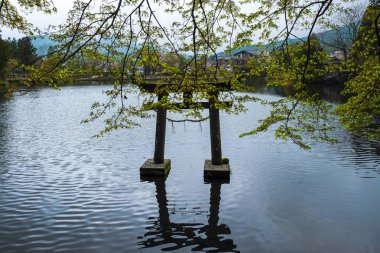 Japonya'da Yufuin bahar toplayan 