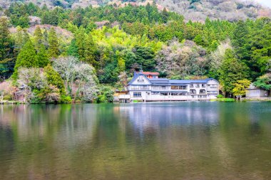 Japonya'da Yufuin bahar toplayan 