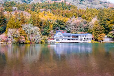 Japonya'da Yufuin bahar toplayan 