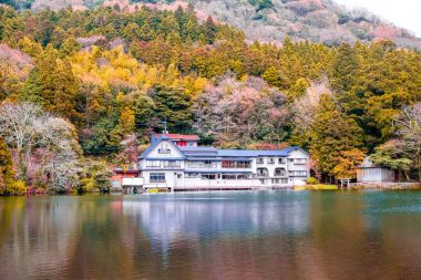 Japonya'da Yufuin bahar toplayan 