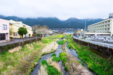 Japonya'da Yufuin bahar toplayan 