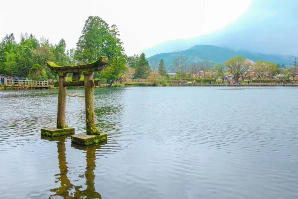 Japonya'da Yufuin bahar toplayan 