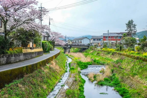 Japonya'da Yufuin bahar toplayan 