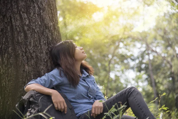 Mutlu kadın doğayla barışık ve rahat. Genç ve güzel bir kadın yeşil ormandaki büyük ağacın altında oturuyor.. — Stok fotoğraf