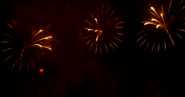 烟花欢度新年 2020年7月4日是国庆佳节 五彩缤纷的烟火在晚上庆祝国庆节 2020年新年派对时间活动倒计时 — 图库视频影像