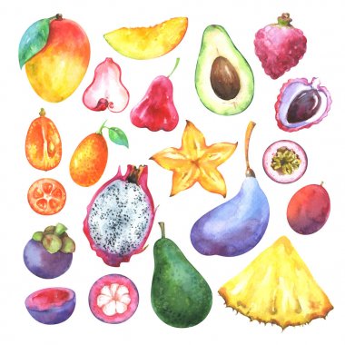 Elle boyanmış egzotik meyveler. Mango, ananas, karambola, avokado, pitaya, lychee, passiflora edulis, kumquat, mangosteen, akebia quinata beyaz arka planda izole edilmiş.