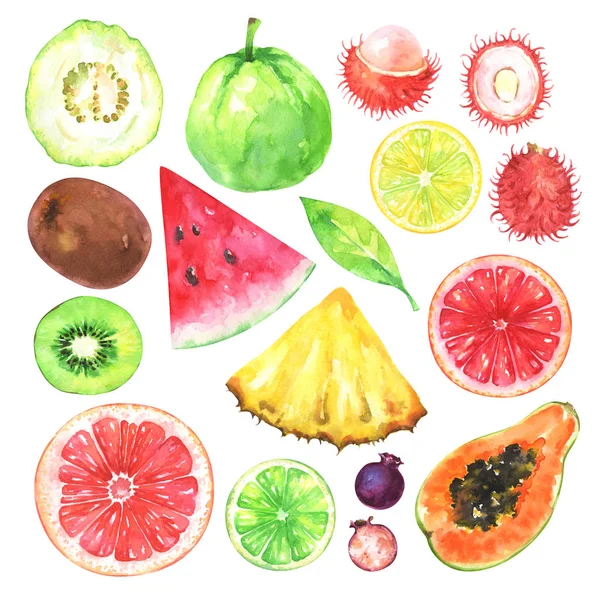 Conjunto Frutas Exóticas Pintadas Mão Aquarela Coleção Kiwi Melancia Goiaba — Fotografia de Stock