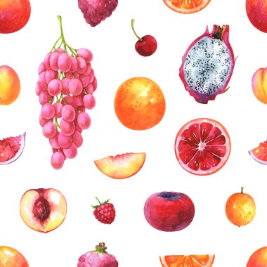 El boyalı sorunsuz egzotik meyve deseni. Suluboya üzüm, kiraz, kayısı, portakal, ahududu, nektarin, lychee, pitaya, kadife elma, incir, beyaz arka plan üzerinde izole