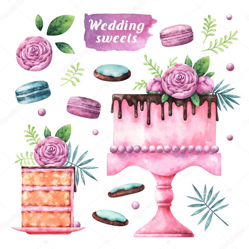 Hand painted watercolor illustration of cake, macaroons, plants and cookies isolated on white background. Collection of wedding sweets
