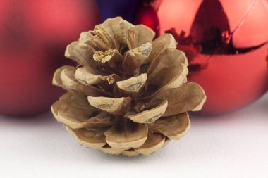 Çam koni ve kırmızı Küre