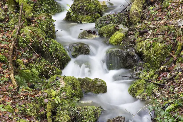 Mountain Waterfall Somber Day — Stock Photo, Image