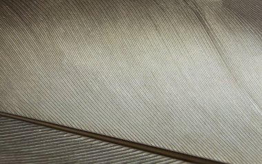 Geçiş yumuşatma doku / yüksek çözünürlük makro fotoğraf