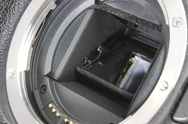 DSLR fotoğraf makinesi ayna makro çekim