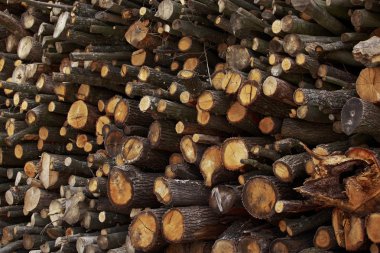 kıyılmış yakacak odun
