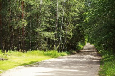 Toprak yol