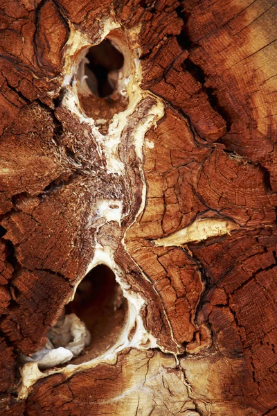 Textura materiais de madeira — Fotografia de Stock