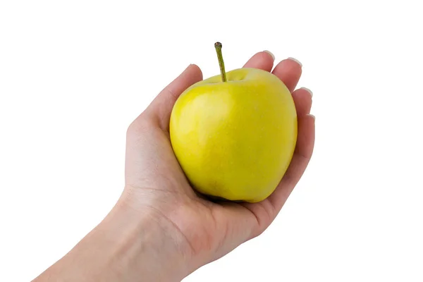 Zelené jablko v ruce — Stock fotografie