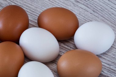 Arka plan üzerinde yumurta