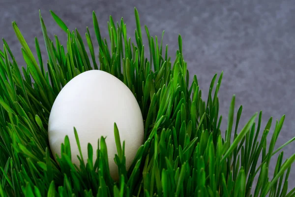 Ovos no fundo — Fotografia de Stock
