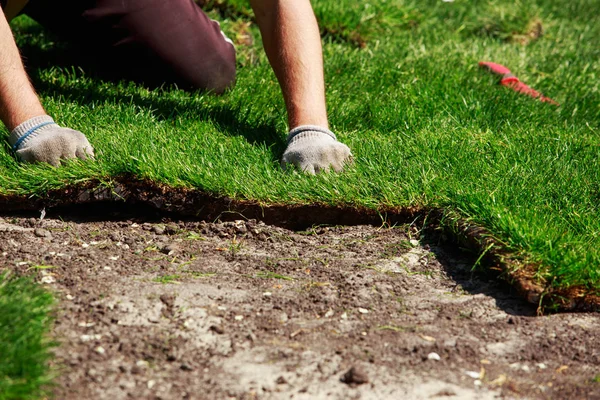 Groen gazon gras op rollen — Stockfoto