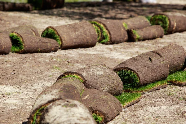 Prato verde erba in rotoli — Foto Stock