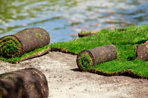 Green lawn grass in rolls — Stock Photo, Image