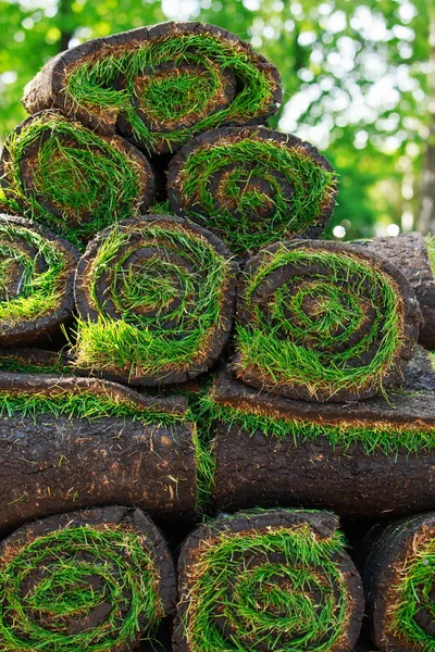 Grama de gramado verde em rolos — Fotografia de Stock