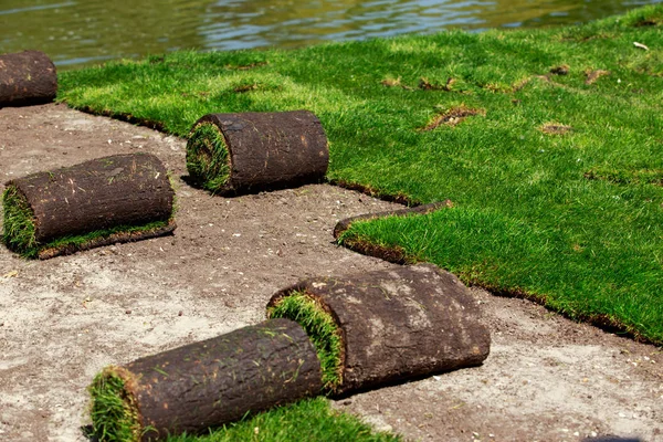 Grüner Rasen Gras in Rollen — Stockfoto