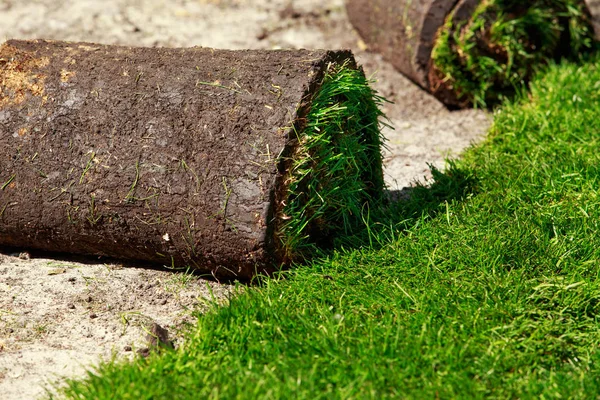 Zielony trawnik trawa w rolkach — Zdjęcie stockowe