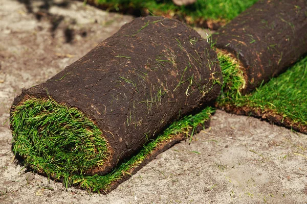 Grama de gramado verde em rolos — Fotografia de Stock