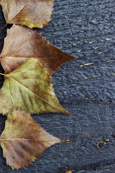 Arkaplan için ahşap doku