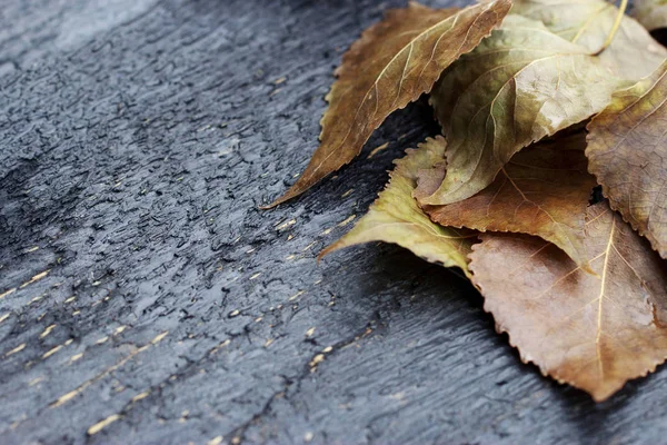 Arkaplan için ahşap doku