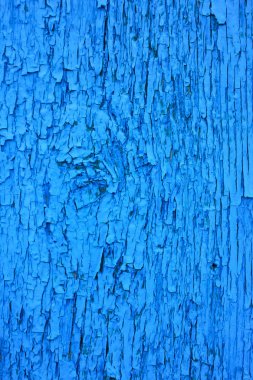 bir yönetim kurulu eski boya