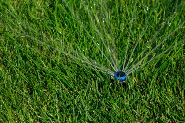 su püskürtme yağmurlama