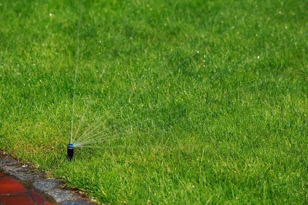 Sprinkler sproeien van water — Stockfoto