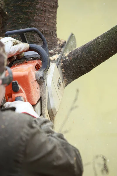 Chainsaw in a hands — Stock Photo, Image