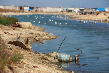 Çevre kirliliği sorunu