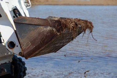 Deniz kıyısını temizliyorum.
