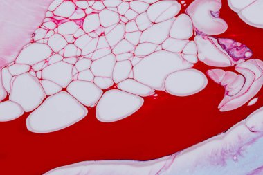 Pembe tonlardaki akrilik boyanın soyut arkaplanı