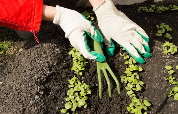 女人穿着园艺手套拿耙子和铲子，照顾植物在花园里 — 图库照片