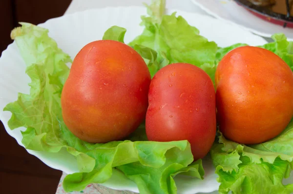 Pomodori e lattuga, concetto di cibo sano e perdita di peso — Foto Stock