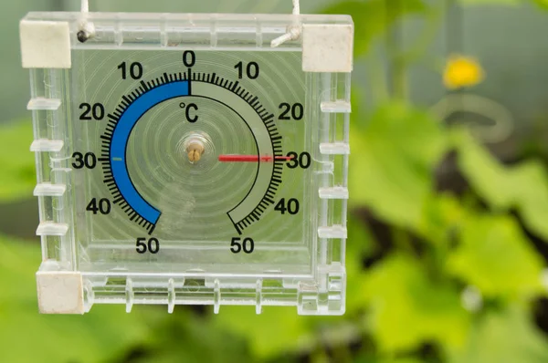 Termómetro para medir la temperatura del aire en el invernadero — Foto de Stock