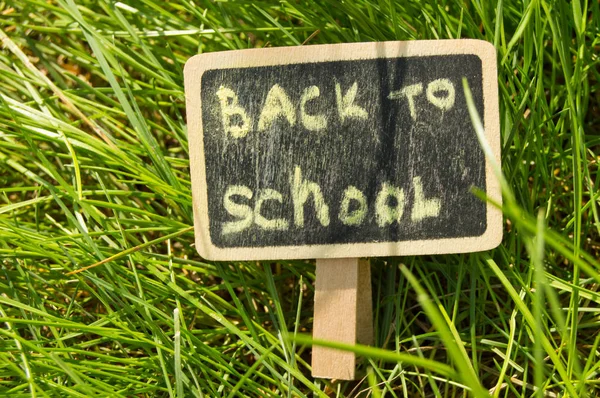 Inscrição Voltar à escola escrito em giz em um fundo de quadro-negro de grama verde — Fotografia de Stock