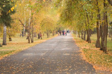 Sonbahar Park yürüyüş için izlemek