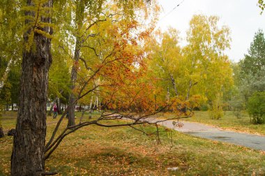Sonbahar Park yürüyüş için izlemek